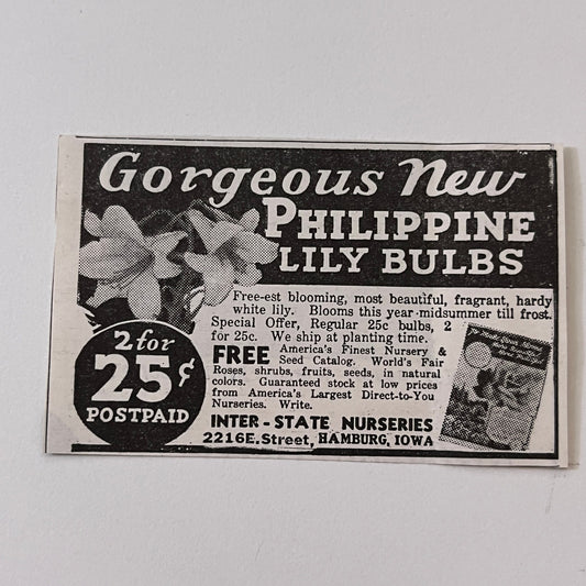 Inter-State Nurseries Philippine Lily Bulbs Hamburg IA 1936 Ad SAG4-M4