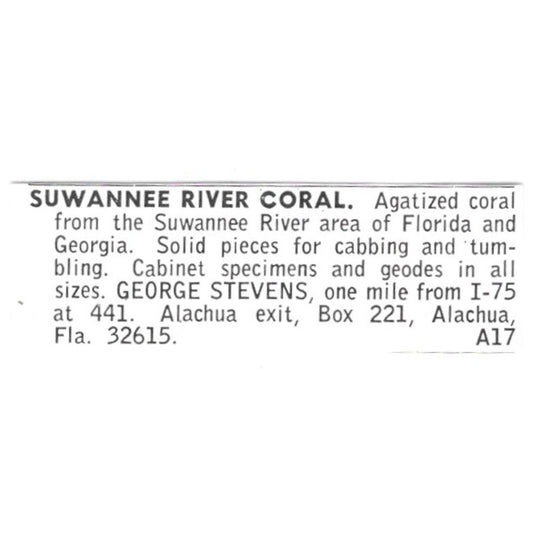 George Stevens Suwannee River Coral Alachua FL 1972 Ad AF8-S12