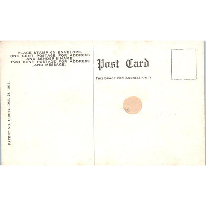 Cartoon Dog Anxious to See You Illustration CSO 1911 Postcard PD2