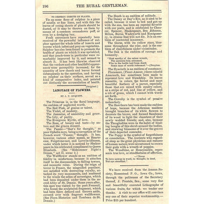 Language of Flowers by J.T. Duquett 1867 Article AG9-5