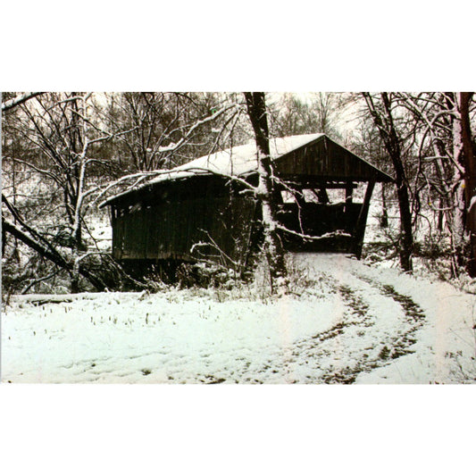 Doughty Creek Bridge Coshocton County Ohio Covered Bridge Postcard PB10