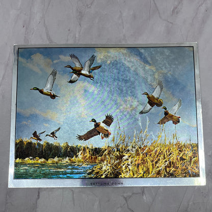 Settling Down Ducks Richard E Bishop Vintage Chromatic Foil Etch 6x7.5" V18