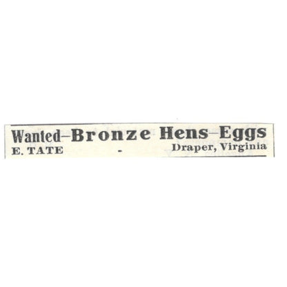 E. Tate Bronze Hens-Eggs Draper Virginia 1924 Ad AG3-S9