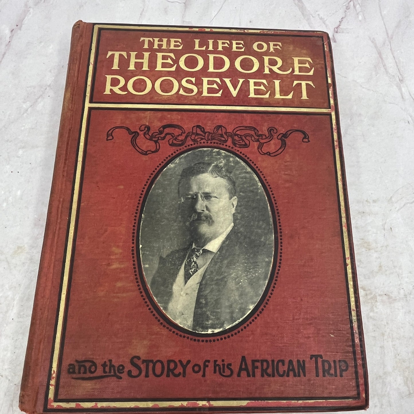 1910 The Life of Theodore Roosevelt and the Story of His African Trip H/C TB8