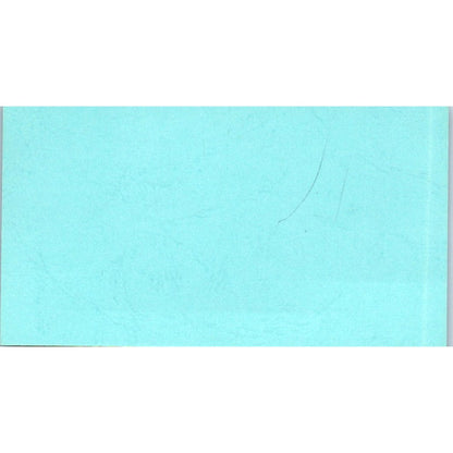 Helen's Salon and Boutique Inc Houston TX Amelia Vintage Business Card SD8-B11