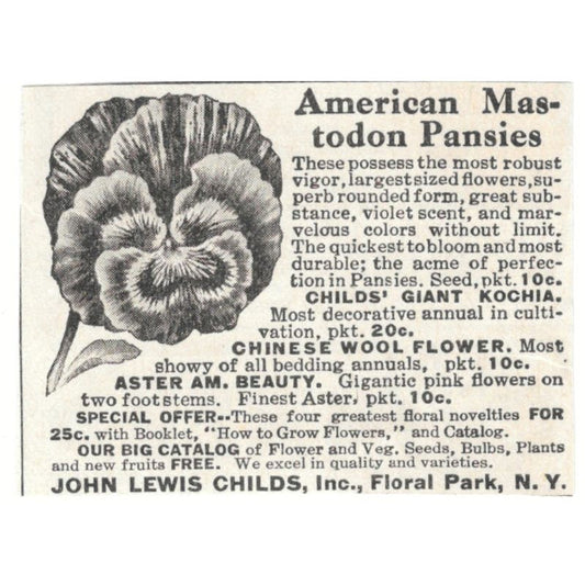 American Mastodon Pansies John Lewis Childs Floral Park NY 1918 Ad AF1-SS3