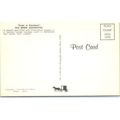 Old Order of Mennonites Church Yard PA Dutch Country Vintage Postcard PD4