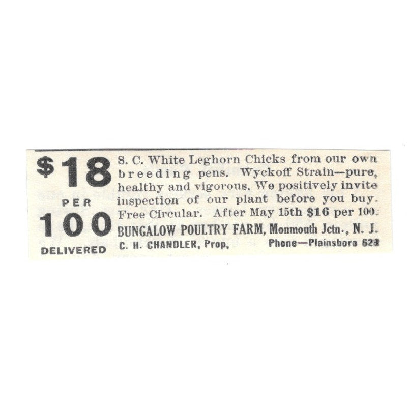 Bungalow Poultry Farm C.H. Chandler Plainsboro NJ 1924 Ad AG3-S4