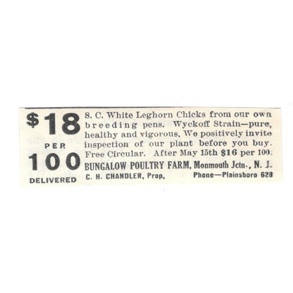 Bungalow Poultry Farm C.H. Chandler Plainsboro NJ 1924 Ad AG3-S4