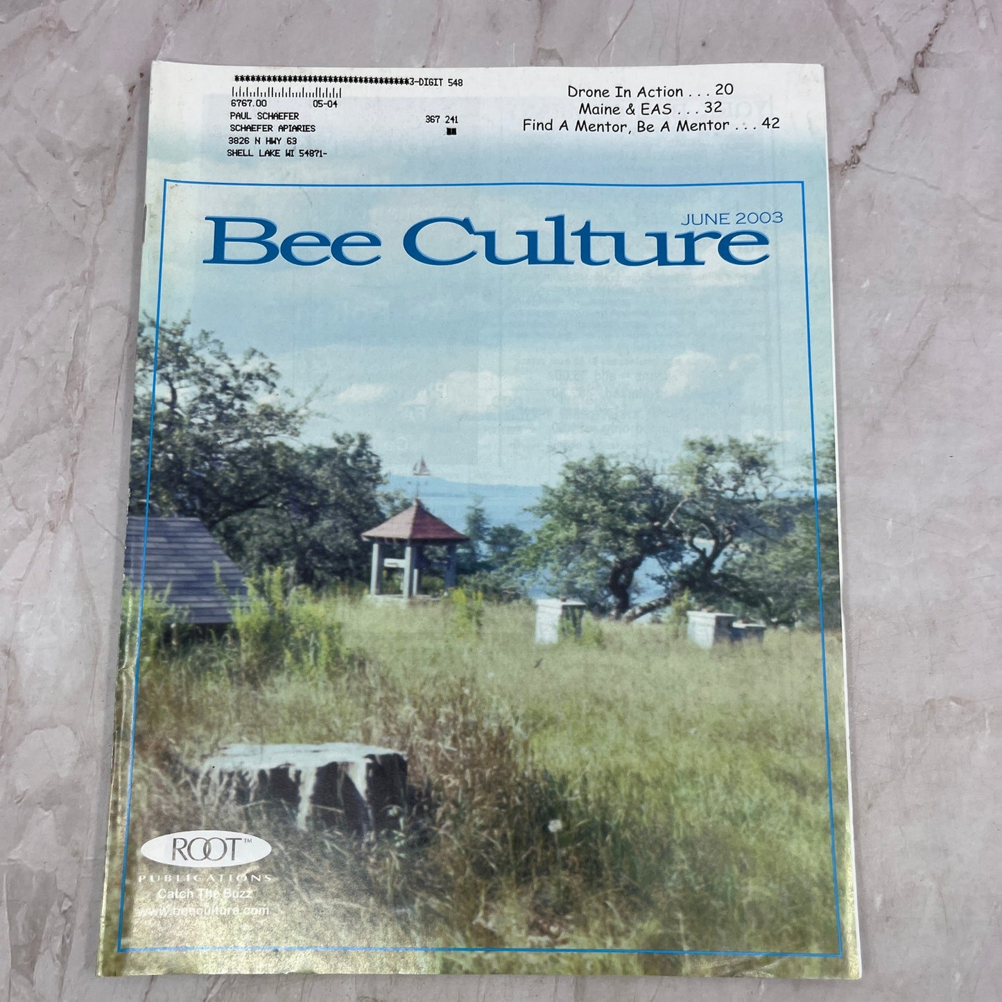 2003 June - Bee Culture Magazine - Bees Beekeeping Honey M32
