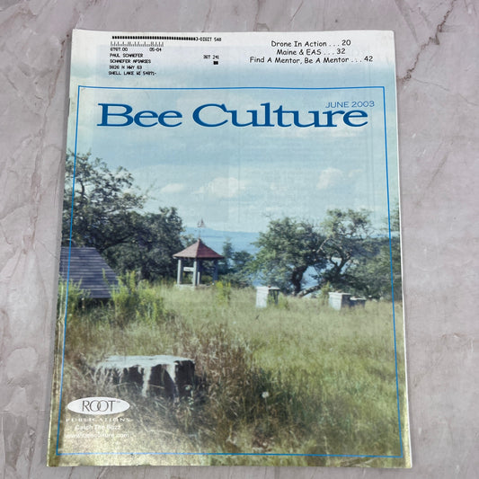 2003 June - Bee Culture Magazine - Bees Beekeeping Honey M32