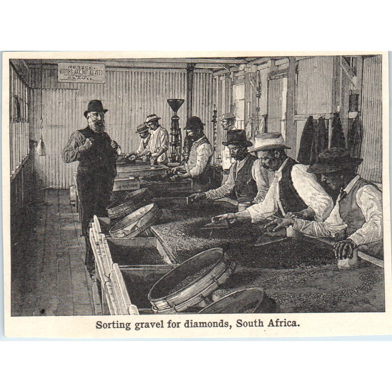 Sorting Gravel for Diamonds in South Africa 1901 Engraving AF2-A6