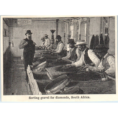 Sorting Gravel for Diamonds in South Africa 1901 Engraving AF2-A6