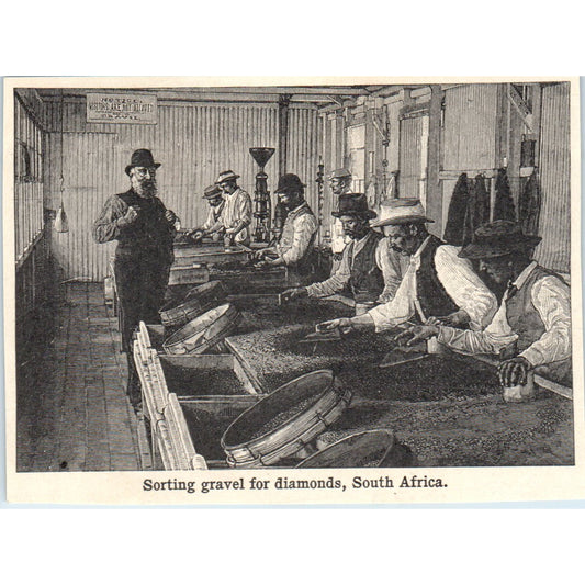 Sorting Gravel for Diamonds in South Africa 1901 Engraving AF2-A6