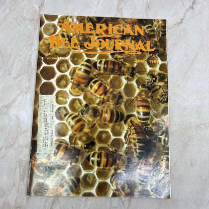 1994 June - American Bee Journal Magazine - Bees Beekeeping Honey M9