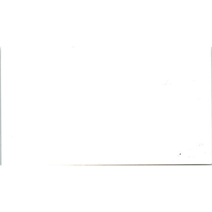 D.W. Painting Co David W. Powell Houston TX Vintage Business Card SD8-B14
