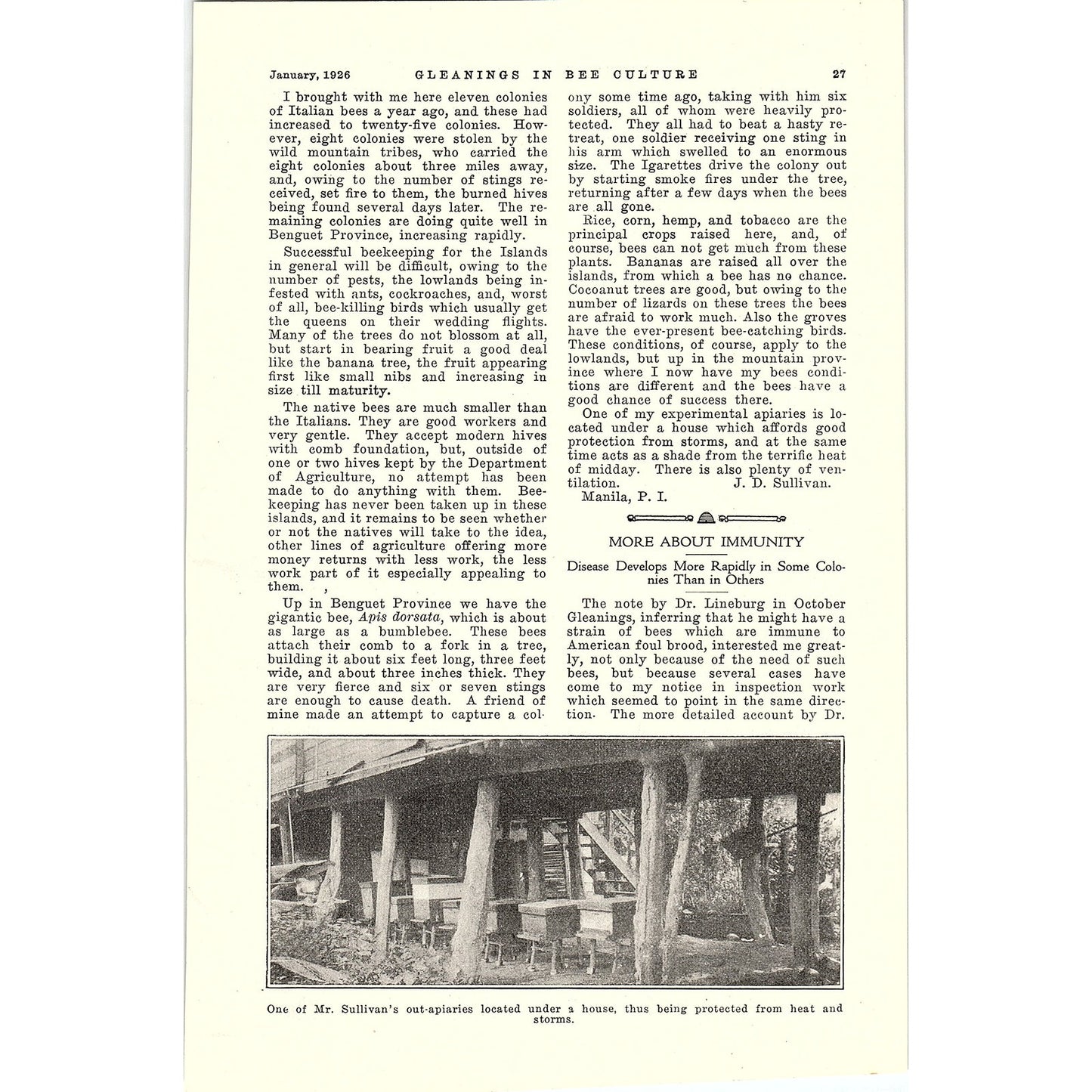 From The Field of Experience Honey in the Home Doris W. McCray 2 Page 1926 AG3-9