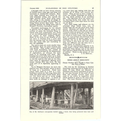 From The Field of Experience Honey in the Home Doris W. McCray 2 Page 1926 AG3-9