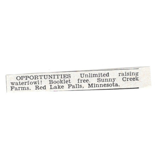 Raise Waterfowl - Sunny Creek Farms, Red Lake Falls MN 1955 Ad AG1-S8