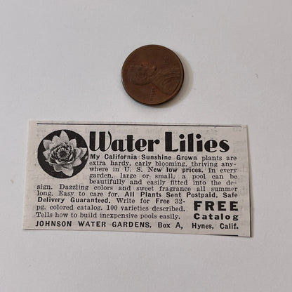 Johnson Water Gardens Water Lilies Hynes CA 1936 Ad SAG4-M4