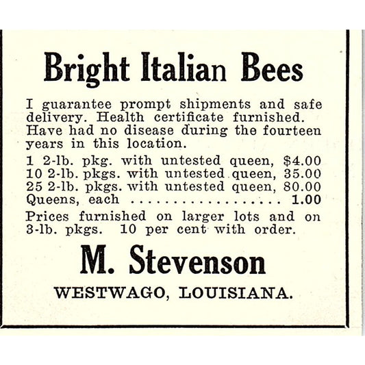 M. Stevenson Bright Italian Bees Westwego Louisiana 1926 Ad AG3-S23