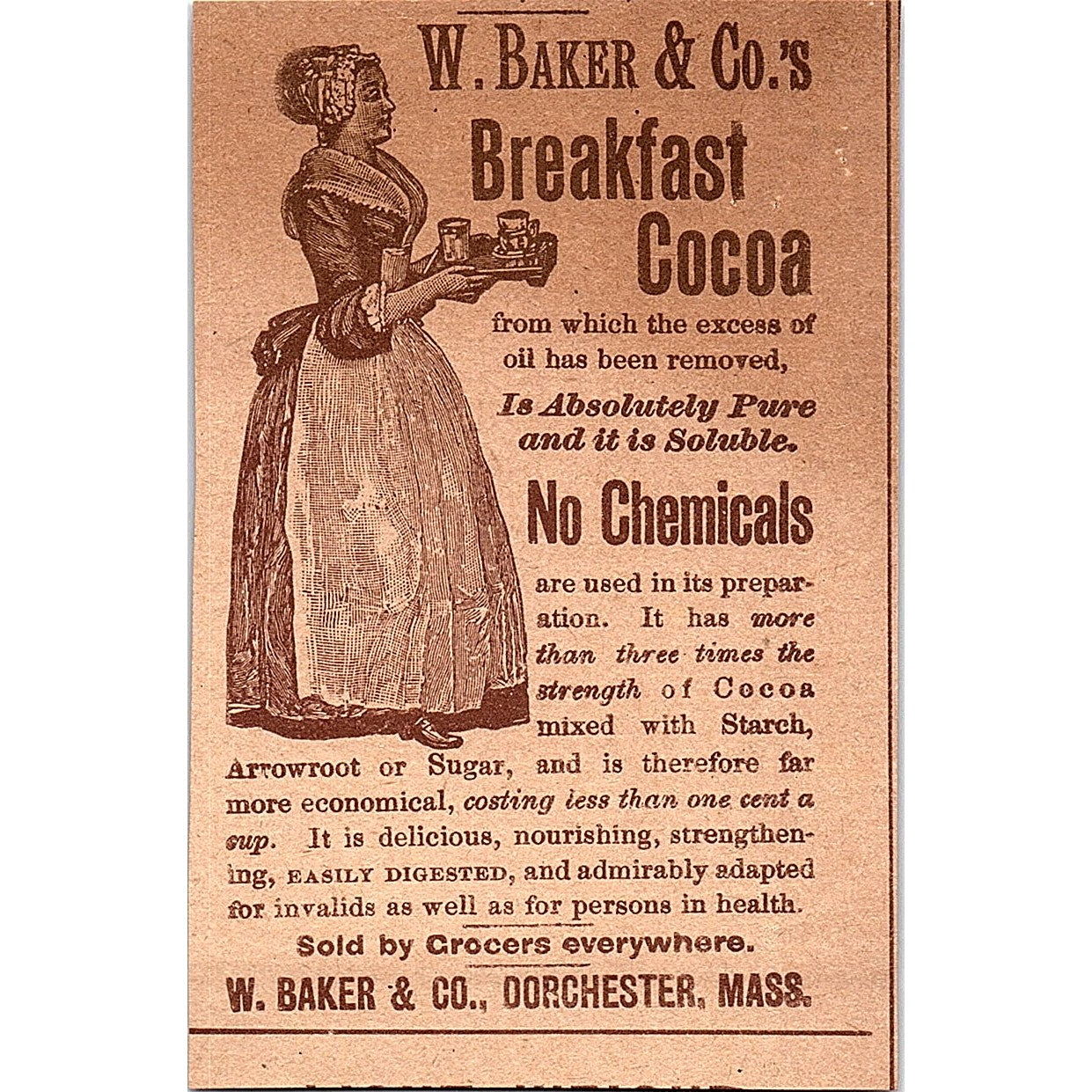 F. Crosby Co Vitalized Phosphates for Literary Workers NY 1892 Ad AG2-M11