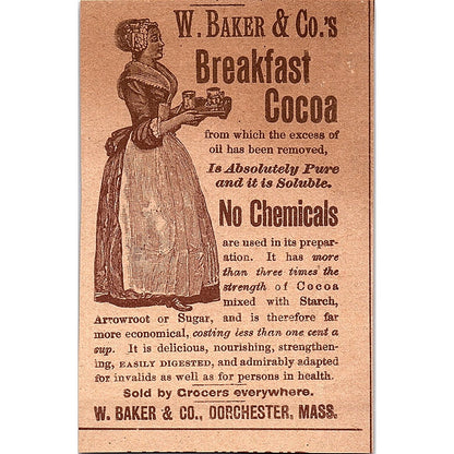 F. Crosby Co Vitalized Phosphates for Literary Workers NY 1892 Ad AG2-M11