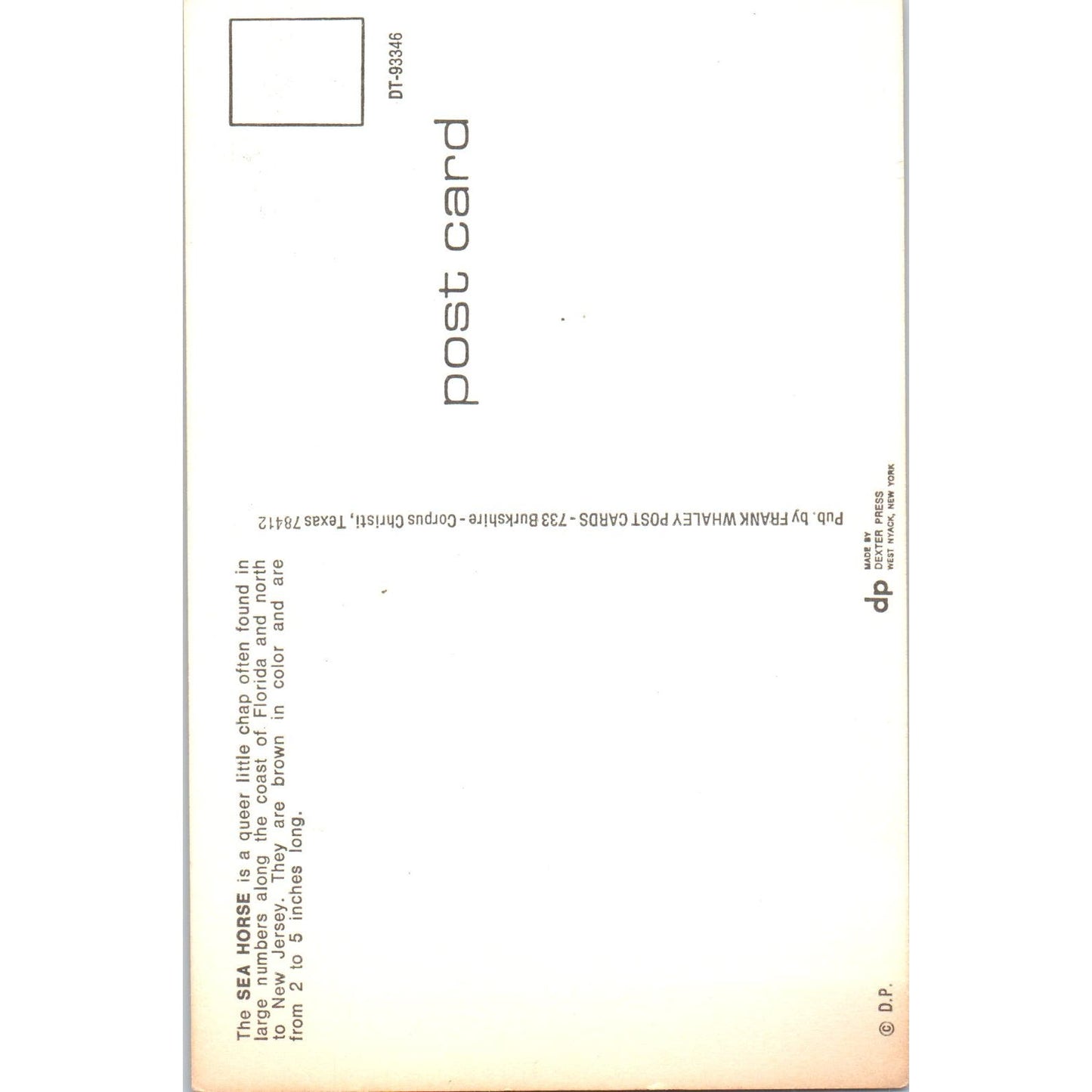 1955 The Tale of the Sea Horse Vintage Postcard PC8