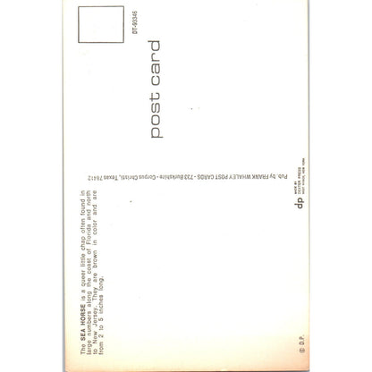 1955 The Tale of the Sea Horse Vintage Postcard PC8