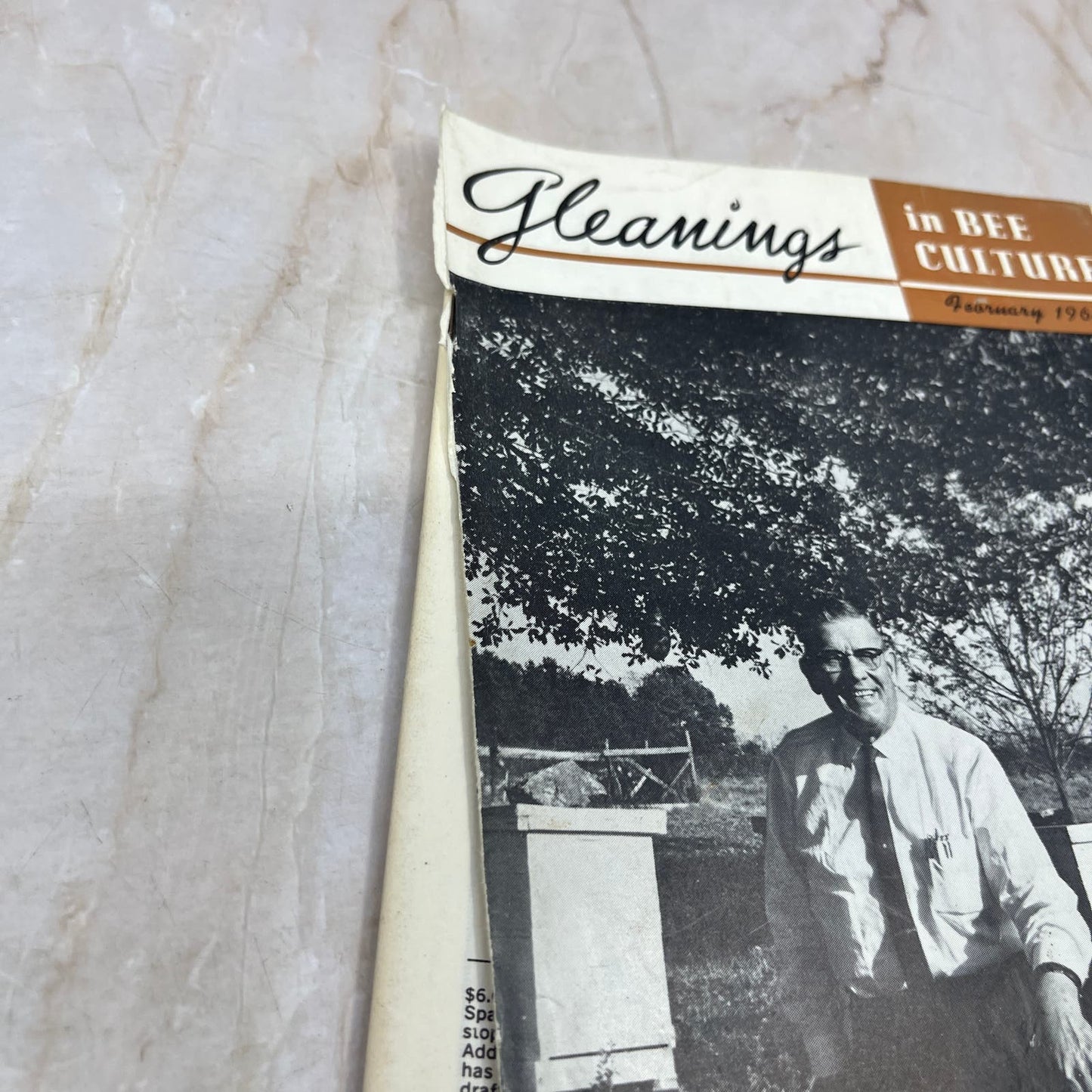 1964 Feb Gleanings in Bee Culture Magazine Bees Beekeeping Honey TD7
