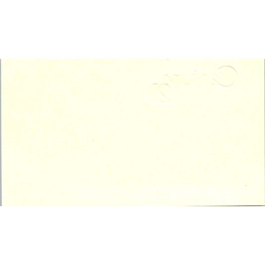 Mary Dimmitt Action Realty Century 21 Realty Savannah Vtg Business Card SD4-B5