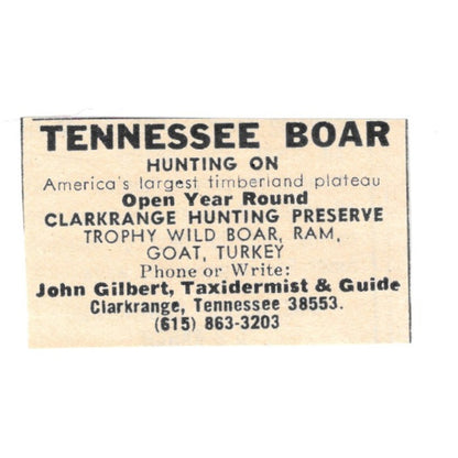 John Gilbert Taxidermist & Guide Clarkrange Hunting Preserve TN 1977 Ad AF6-S2