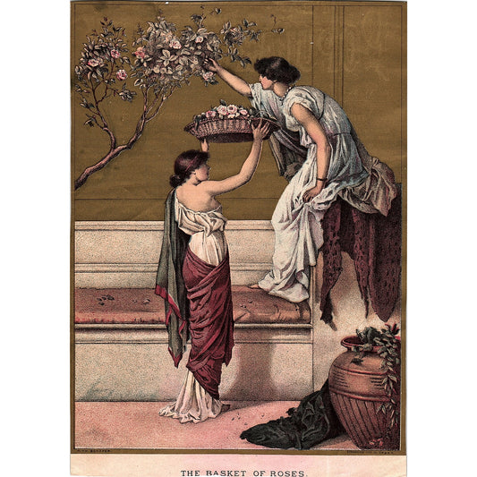 The Basket of Roses - H. Th. Schafer Vintage Art Print 7x9 V12