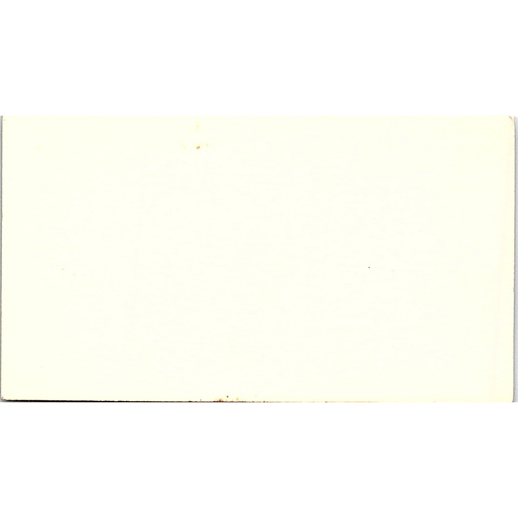 Ernest Schicchi Southern Star Shipping Houston Vintage Business Card SC9-B4