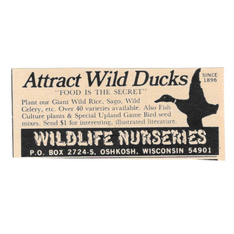 Wildlife Nurseries Attract Wild Ducks Oshkosh WI 1977 Ad AF6-S1