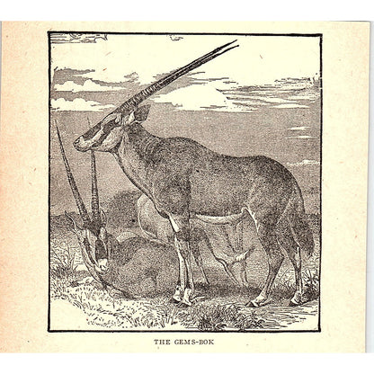 The Gems-Bok 1902 Engraving Plate AF4-H2
