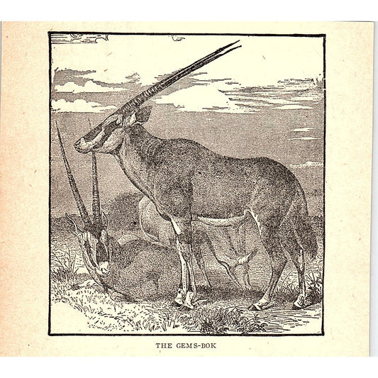 The Gems-Bok 1902 Engraving Plate AF4-H2