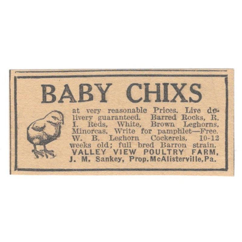 Valley View Poultry Farm baby Chicks J.M. Sankey McAlisterville 1922 Ad AF2-T7