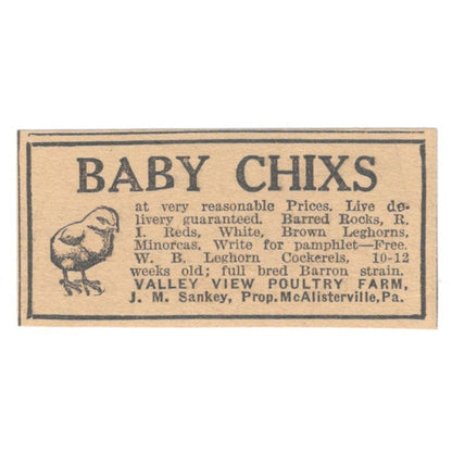 Valley View Poultry Farm baby Chicks J.M. Sankey McAlisterville 1922 Ad AF2-T7