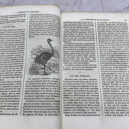1858 Sandford Et Merton Du Petit Grandisson Children's Book TA9-B7