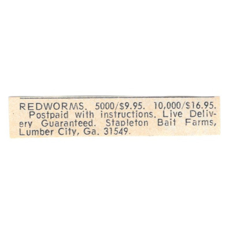 Stapleton Bait Farms Redworms Lumber City GA 1977 Ad AF6-S5