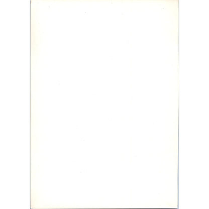 Portrait of Madame De Senonnes - Ingres c1905 Art Print D14