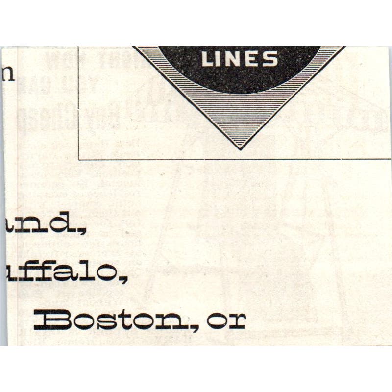 Seeder Chair & Hammock Co Homer MI c1890 Victorian Ad AE8-CH9