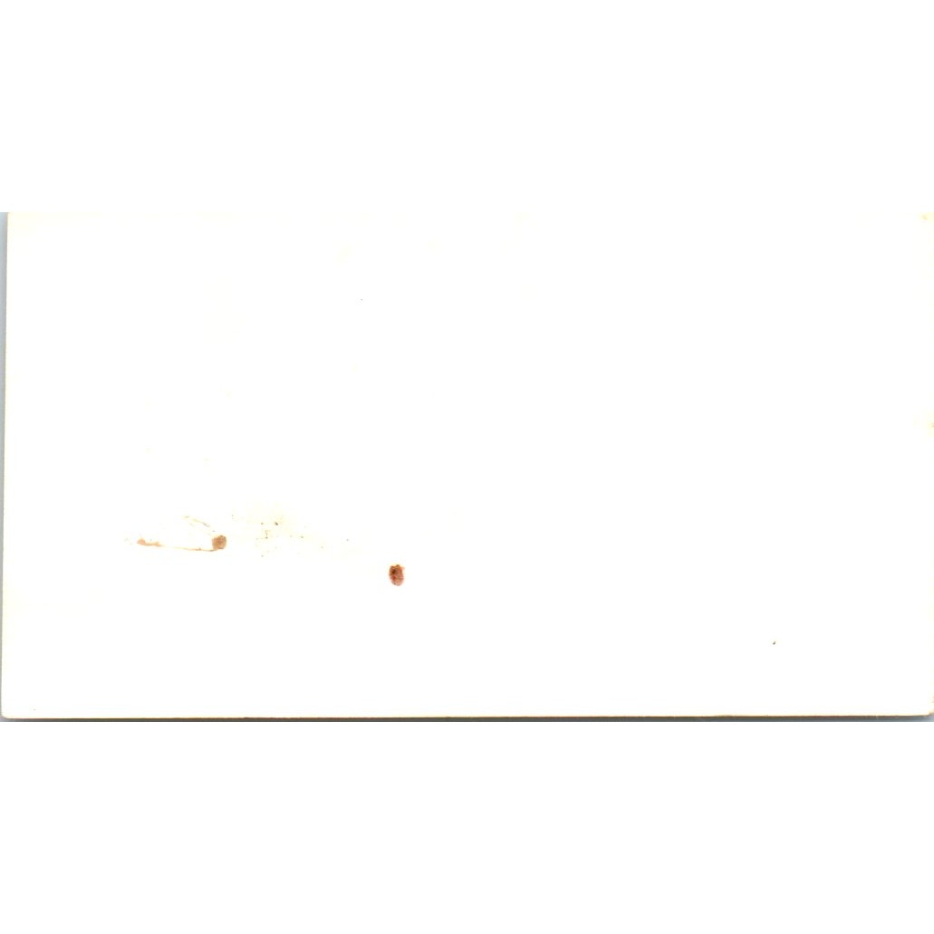 Boyd's Pet Shop Don & Betty Brown Long Beach CA Vintage Business Card SD8-B16