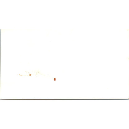 Boyd's Pet Shop Don & Betty Brown Long Beach CA Vintage Business Card SD8-B16