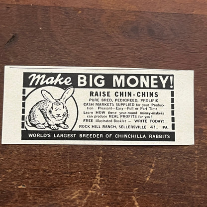 Rock Hill Ranch Sellersville Raise Chin-Chins Chinchilla Rabbits 1955 Ad AF9-S1