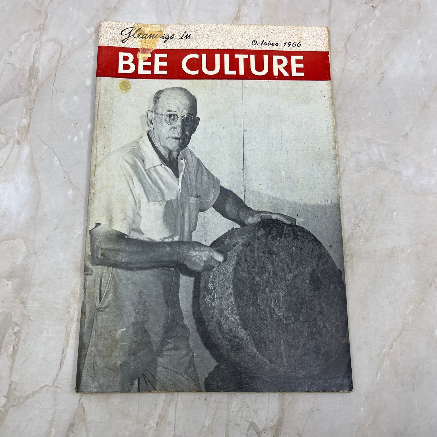 1966 Oct Gleanings in Bee Culture Magazine Bees Beekeeping Honey TD7