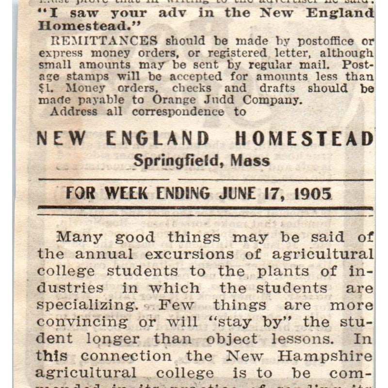 Fleming Bros Chemists Bog Spavin Cure Chicago 1905 Magazine Ad AF1-NH2