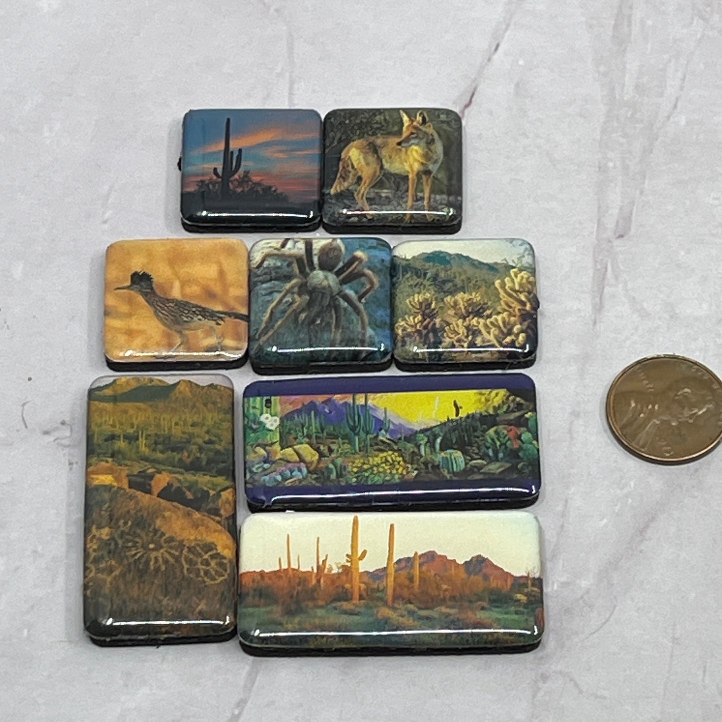 Vintage Lot of 8 Southwestern Refrigerator Magnets Tarantula Coyote SB7