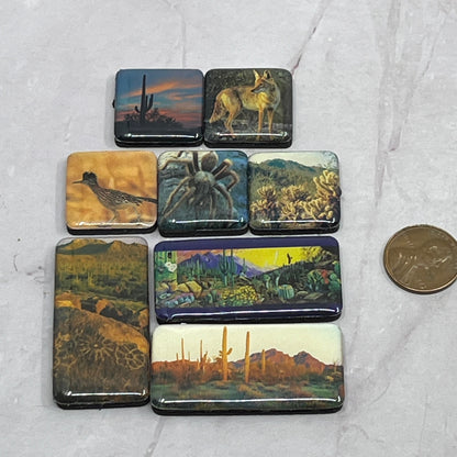 Vintage Lot of 8 Southwestern Refrigerator Magnets Tarantula Coyote SB7